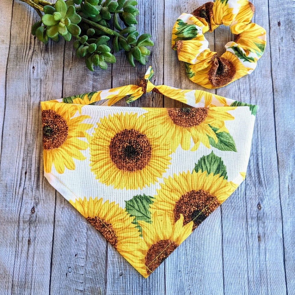 SUNFLOWER 🌻 Dog Bandana with Hair Scrunchie!
